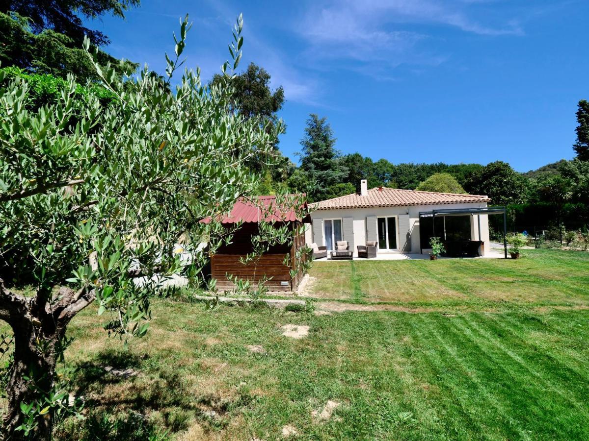 Les Yuccas -Maison Neuve Avec Un Jardin A Saint Paul De Vence Εξωτερικό φωτογραφία